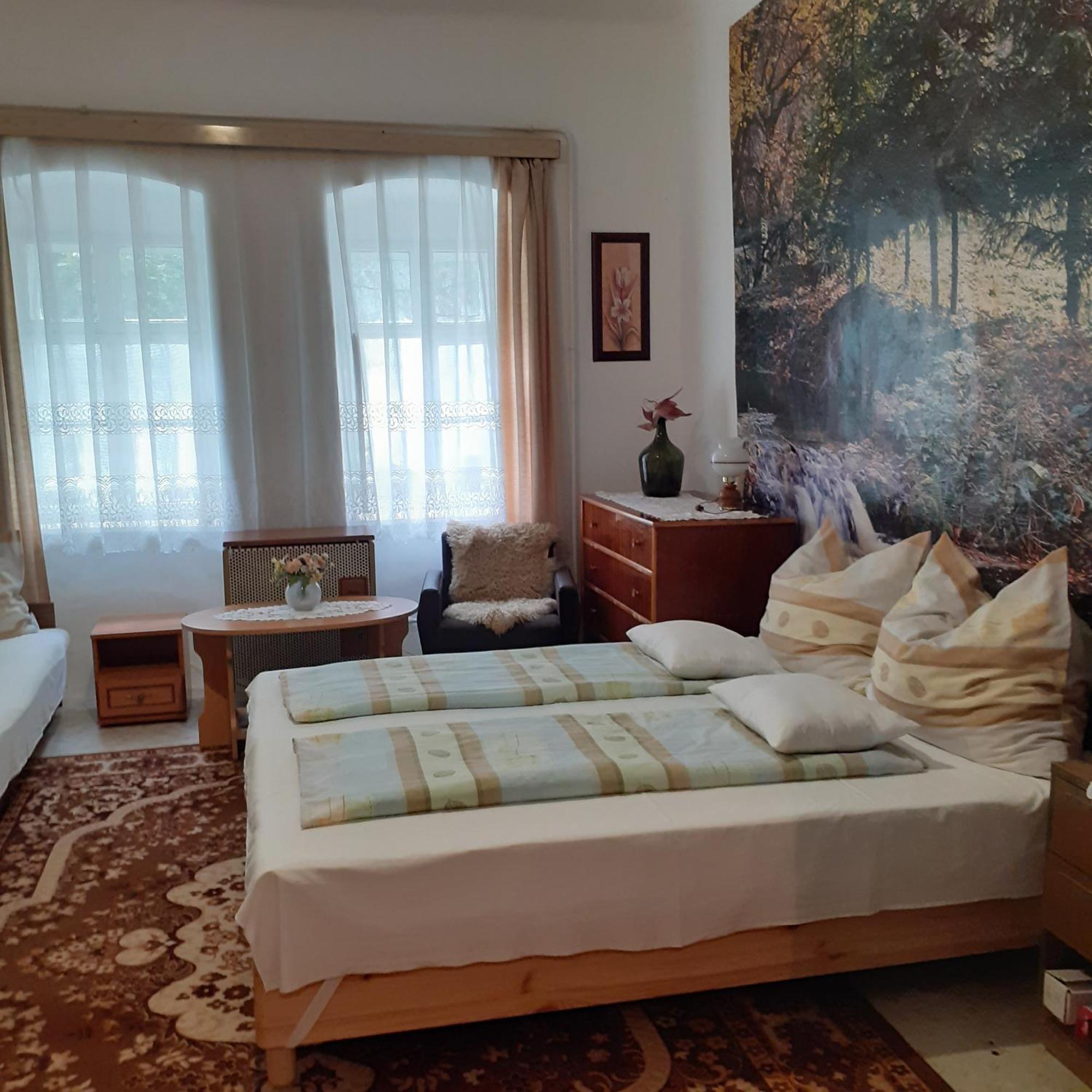Appartamento Marika vendégház Abádszalók Esterno foto
